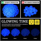 Sasylvia 3000 Pcs Glow in the Dark Rocks Outdoor 1 Inch Pebbles,White - Image 5