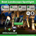 Landscape Spotlights, Black Low Voltage LED Outdoor Lighting, IP65 Waterproof Aluminum uplight for Yard House Porch with 5W MR16 Bulb 5000K 12 Pack - Image 2