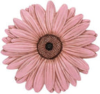 Magnolia Garden 12-Inch Sculpted Pink Daisy Decorative Stepping Stone – 3D Floral Resin Garden Walkway Tile – Elegant Blush Flower Outdoor Accent by DicksonsGifts