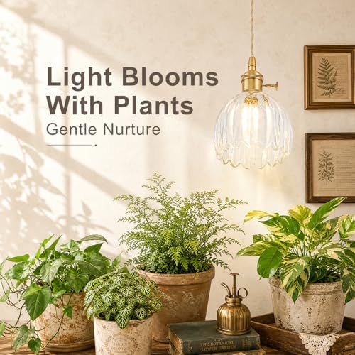 Hanging Grow Lights for Indoor Plants, 12W Full Spectrum 98+ CRI Grow Lamp, Dual CCT 3000K/4000K, Dual Switches, Pulley Height Adjustable, 13.12FT Cord, Petal Glass Plant Light for Indoor Flowers - Image 3