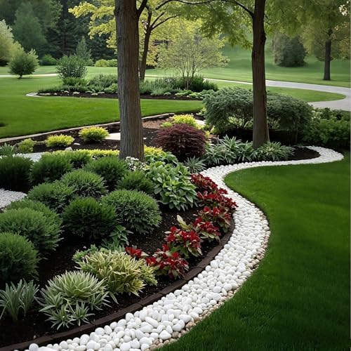 30 lbs White Rocks for Landscaping, 1-2Inch River Rocks for Plants - Image 5