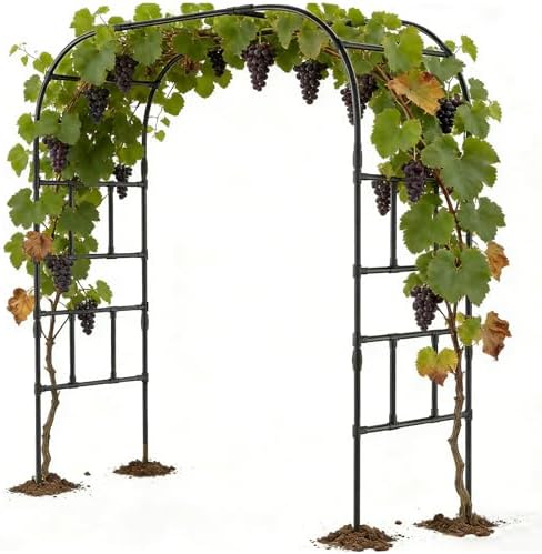 DoCred 87" H x 79" L Garden Arch Trellis, Metal Trellis for Climbing Plants by DoCred