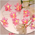 CAKERS Flower Decor String Lights|Creative Christmas Petal-Shaped Copper Wire Fairy Lights|LED Floral Plant Design Ambient Light for Party Bedroom Patio,Pink Flower,10m(32.8ft)-100LED-Battery by CAKERS