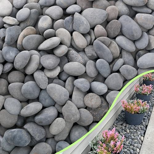 18LB River Rocks,Mexican Beach Pebbles for Plants,Potting,Garden Landscape Stone Paving Stone Grey 1Inch - 2Inch by CJGQ