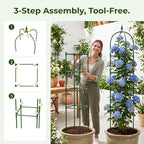 MYMULIKE 2 Pack Garden Obelisk Trellis for Climbing Plants Outdoor & Indoor - 6Ft Rustproof Garden Trellis Plant Support Cage for Vines, Flowers, Vegetables, Roses | Heavy-Duty, Adjustable - Image 6