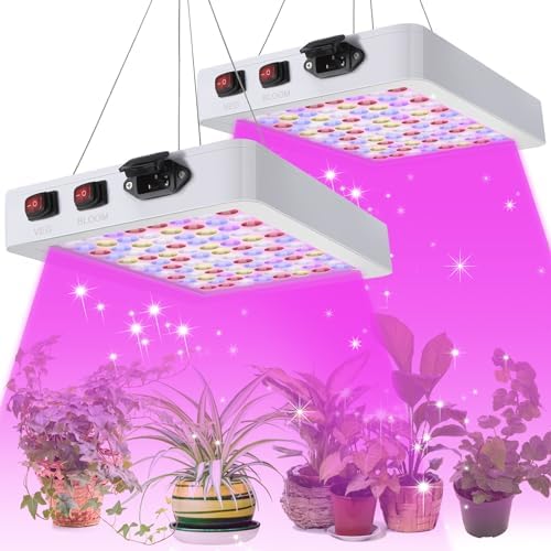 2 Pack 1000W LED Grow Light Full Spectrum Grow Lamps Dual Switch Greenhouse 96 LEDs Light with Veg and Bloom Buttons for Indoor Hydroponic Plant Flower Vegetable Seeding Growing and Flowering by Xinnun