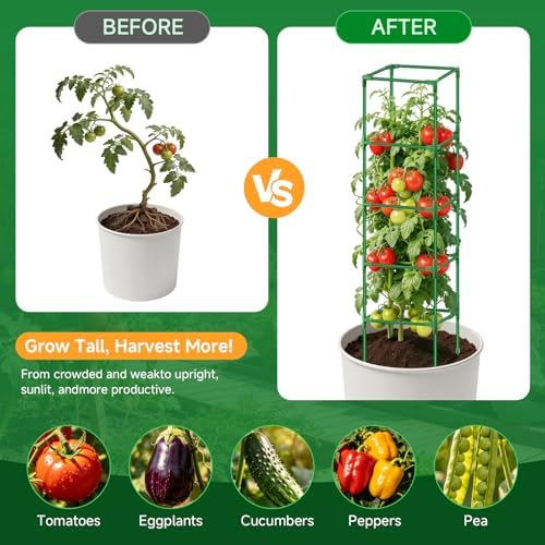 3 Pack Square Tomato Cage Heavy Duty Rust-Resistant Metal Tomato Trellis - Image 6