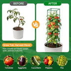 3 Pack Square Tomato Cage Heavy Duty Rust-Resistant Metal Tomato Trellis - Image 6