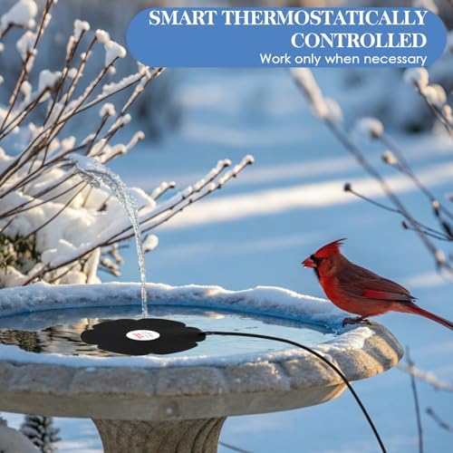 Tujoe 2 Pack 250W Bird Bath Heater De-icer, Thermostatically Controlled Birdbath Water Heater with 6.6 ft Cord, Outdoor Winter Heaters for Bird Bath, Chicken Waterer, Pond - Image 3