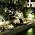 4-Spotlight Mini 50X Solar-Powered LED Spotlight (Warm White LED), Black Finish, Outdoor Garden Yard Landscape Downlight - Image 7