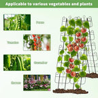 Cucumber Trellis for Raised Bed, Metal Rustproof A-Frame Garden Trellis, Outdoor Heavy Duty Climbing Plants Support for Cucumber, Vegetables, Vine, Expandable Height & Width - Image 3