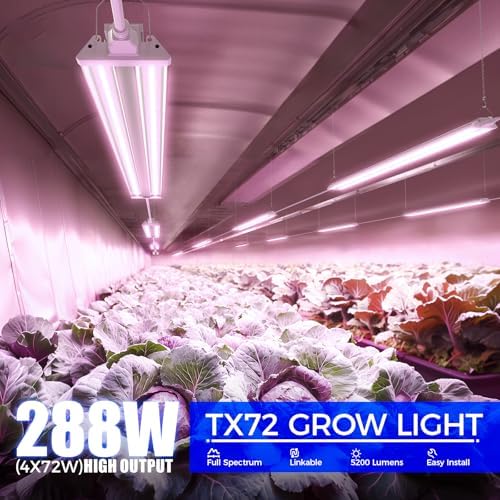 Barrina TX72 4FT LED Grow Light, 288W(4 x 72W, 2000W Equivalent), Purple - Image 2