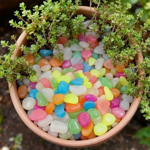 Colorful Glow-in-the-Dark Garden Stones | Solar Powered Luminous Pebbles for Outdoor Walkway, Aquarium & Yard Decor (Muticolor, 1000) - Image 5