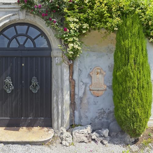 Relaxdays Wall Fountain, Antique Design, Basin & Water Tap, for Garden & Patio, 36 x 22 x 10.5 cm, Cast Iron, Gold/Grey, Brass - Image 3