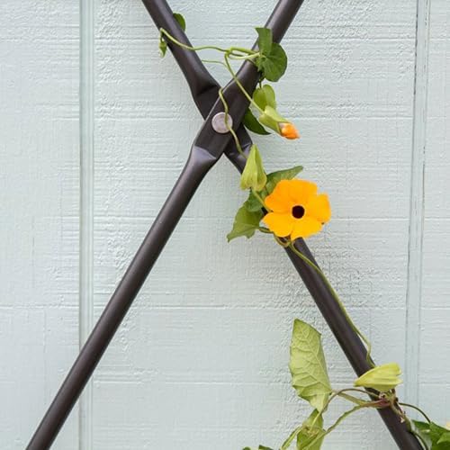 Achla FT-32G Designs Wall Mounted Lattice Garden Trellis, Graphite - Image 5
