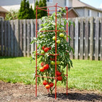 6-Pack 46inch Metal Tomato Cage for Garden Plant Support - Image 6
