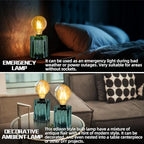 Set of 2 Battery Operated Table Lamp, Battery Powered Cordless Lamp with Timer, Glass Bulb Shape Decorative Lights for Living Room Bedroom Weddings Parties Patio Events Indoors Outdoors（Loden Frost） - Image 4