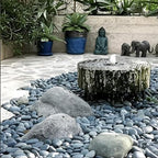 FANTIAN 10 lbs Black River Rocks, 2-3 Inch Stones for Plants Indoor - Image 7