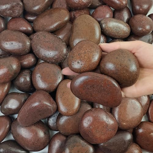 FANTIAN 20 lbs Red River Rocks for Garden, 2-3 Inch Polished Pebbles for Indoor Plants, Decorative Rocks Stones for Landscaping, Plants, Vases, Aquariums, Fountains, Pathways and Backyard by FANTIAN-GardeningMakesLifeBetter