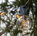 Outdoor Edison Light Bulbs with C9 Black Stringer (G50 Edison, 10') - Image 6