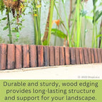 LaLaGreen Decorative Garden Edging Border (30x6in, 2 Pack) Flower Fencing - Image 6