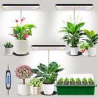 Aumtrly Grow Light Black 3 Pack, Full Spectrum Plant Light, Timer with Base by Aumtrly