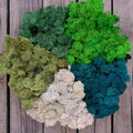 Preserved Reindeer Moss Natural Green DIY Kit Gardenning Art Wall Decor Florist Decor Easter Table Decor Wedding by %E7%8E%B0%E5%9C%A8%E8%B4%AD%E4%B9%B0