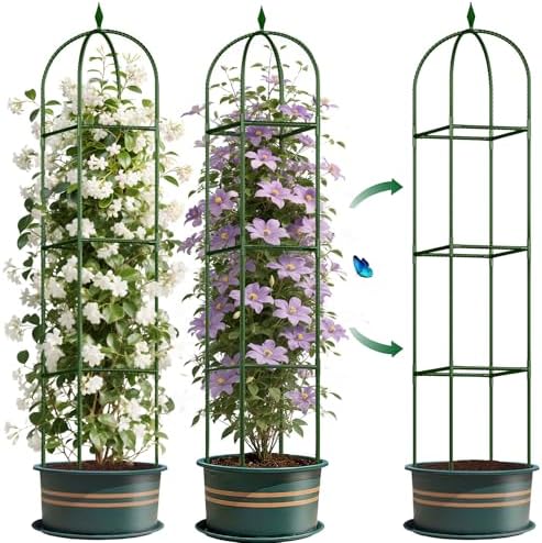 Garden Trellis for Climbing Plants, Tomato Cage, Rose, Flowers, Grape, Pea, Cucumber Trellis, Rustproof Plastic Coated Metal Plant Support for Potted Plants Indoor Outdoor - 2PC Plant Trellis by CLFUN