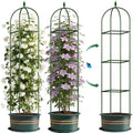 Garden Trellis for Climbing Plants, Tomato Cage, Rose, Flowers, Grape, Pea, Cucumber Trellis, Rustproof Plastic Coated Metal Plant Support for Potted Plants Indoor Outdoor - 2PC Plant Trellis by CLFUN