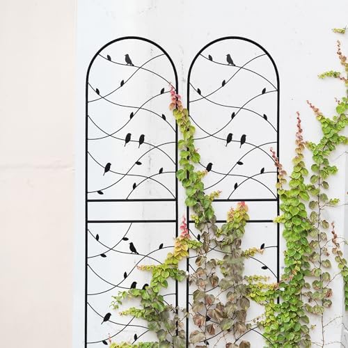 4 Pack Metal Garden Trellis 71" Tall Outdoor Climbing Plant Support for Roses, Flowers, Rustproof Durable Black Galvanized Tube, Lawn Garden Fence Decor Screen (4, Black birds-71 H) - Image 6