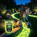 Colorful Glow-in-the-Dark Garden Stones, Rainbow Luminous Pebbles for Outdoor Walkway Patio Lawn Yard Landscaping, Glowing Stepping Rocks for Garden Path Fish Tank Aquarium Decor (1000, Yellow) by Unknown