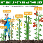 Fabulas Garden Stakes 16 Inch 70 Pack, Diy 4ft 5ft 6ft 7ft 8ft Tomato Stakes Plastic Coated Metal Plant Sticks Stakes Supports with 40 Connectors 30 Rotatable Clips for Indoor Outdoor Plants Vegetable - Image 3