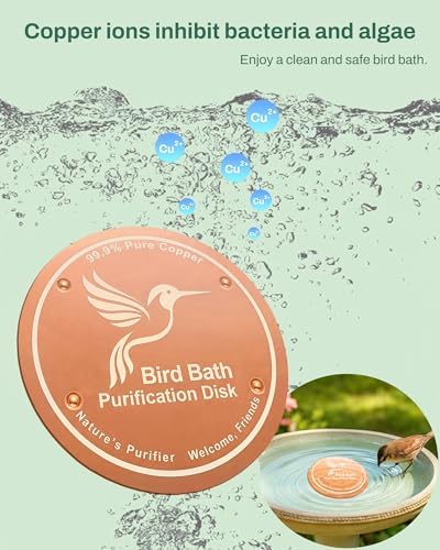 OICEME Bird Bath Purification Disk Pure Copper Backyard Outside Solar Power Wild Hummingbird Pedestal Fountain Cleaner Outside Humming Bee Feeder Cage Dispenser Ground Women Lover Gift - Image 2