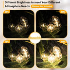 50FT Outdoor String Lights Waterproof, Bright 2700K LED Patio Lights String with 27 G40 Shatterproof Globe Bulbs, Connectable Edison String Lights for Outside, Garden, Balcony, Porch - Image 4