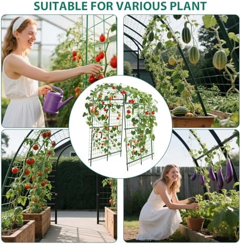 Garvee Metal Garden Arch Trellis, 7.6Ft Black for Raised Beds - Image 4