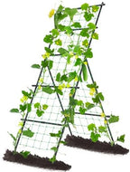 Cucumber Trellis A Frame Garden Trellis 31 x 26 x 75 in by yotoworthgardenhome