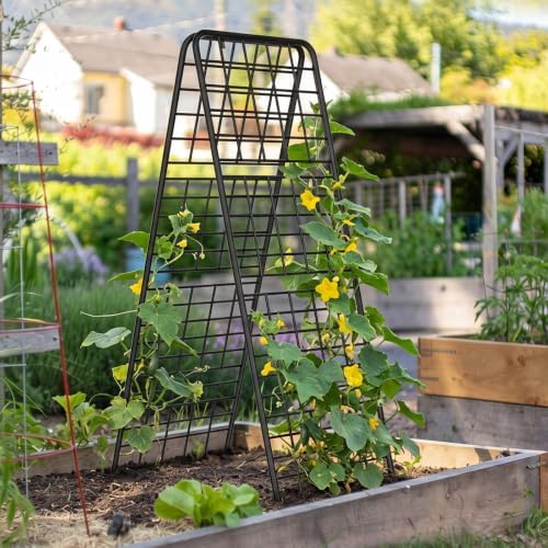 A-Frame Trellis for Climbing Plants Outdoor, 2 Pack Metal Garden Trellis - Image 2