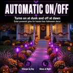 DERAYSION Solar Halloween Lights, 12 Pack Solar Pathway Lights - Image 5