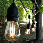 S14 Lantern Bulbs with E26 Commercial Suspender Light String, 100 Foot - Image 2
