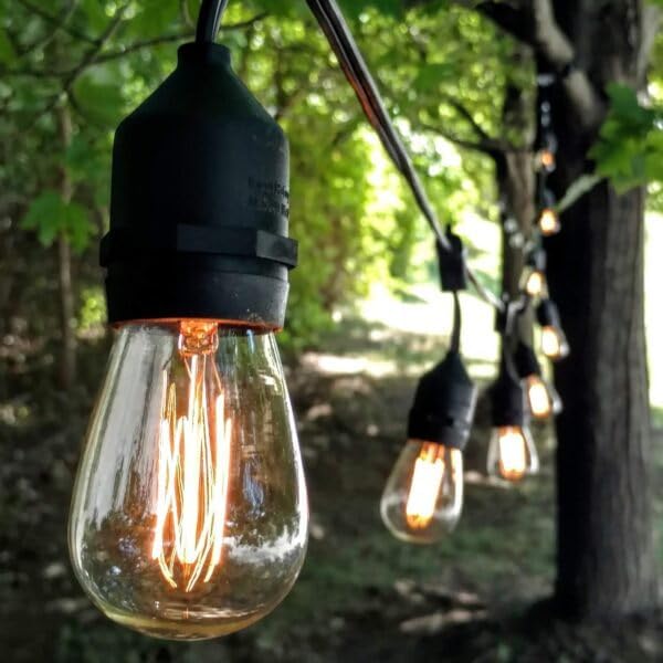 S14 Lantern Bulbs with E26 Commercial Suspender Light String, 100 Foot - Image 2