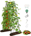 Garden Trellis for Cucumbers, 50 x 16 Inch Adjustable A-Frame Plant Support for Climbing Plants Outdoor, Vegetable, Flowers, Heavy Duty 1cm Metal Vegetable Trellis for Backyard, Raised Bed, Patio by BAG+WIZARD