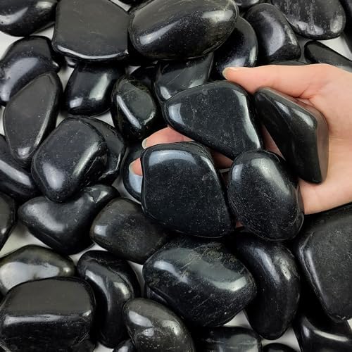 FANTIAN 40 lbs Black River Rock for Landscaping,2-3 Inch Pebble for Plant by FANTIAN-GardeningMakesLifeBetter