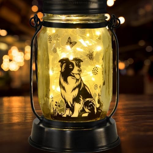 kyoryuger Border Collie Gifts for Women/Men Border Collie Solar Lanterns Dog Mom Birthday, Dog Lovers Lantern, Pet Loss Pet Memorial Lights, Solar Garden Decor Outside for Yard, Patio,Backyard,Porch by kyoryuger