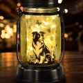 kyoryuger Border Collie Gifts for Women/Men Border Collie Solar Lanterns Dog Mom Birthday, Dog Lovers Lantern, Pet Loss Pet Memorial Lights, Solar Garden Decor Outside for Yard, Patio,Backyard,Porch by kyoryuger