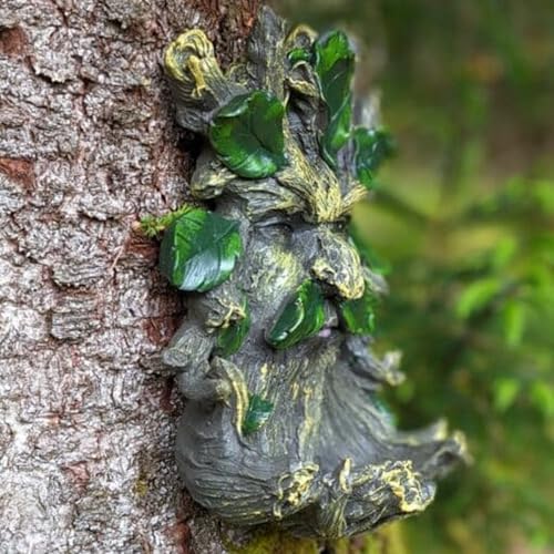 Elenon Old Man Tree Face Statue for Outdoor with Bird Feeder, Hand Painted Garden Decor Tree Hugger Whimsical Yard Art Sculpture Gift - Image 5