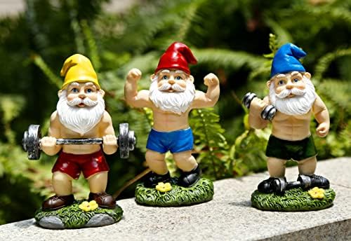 Funny Workout Garden Gnomes Statues 3pcs 6.2 Inches Outdoor Muscular, Barbell and Dumbbell Gnomes Decorations Set Gnome Gifts for Yard Lawn Patio, Indoor Gnome Figurine for Home Tabletop by WelcometoMrsivropsGarden
