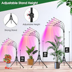 Wolezek Grow Lights for Indoor Plants with Stand, Red Blue Full Spectrum - Image 6