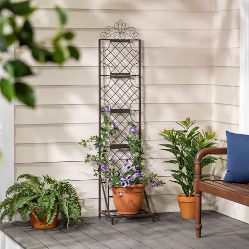 Evergreen Garden Classic Metal Plant Stand with Lattice Trellis for Climbing Plants, Floor Tall Plant Stand Indoor and Outdoor for Patio, Porch, Garden - Image 6