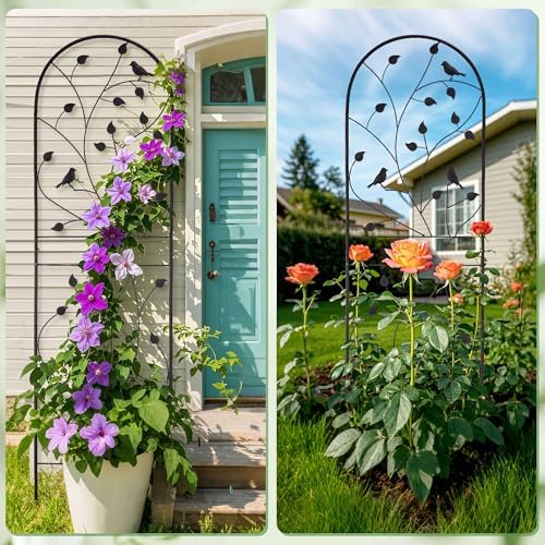 Garden Trellis for Climbing Plants, 71" H x 20" W, 2 Pack Heavy-Duty Metal Garden Trellis, Black Coated Rustproof Trellis for Plants Outdoor, Roses, Ivy, Flowers, and Vines - Image 5