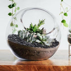 10LB Black Pebbles for Indoor Plants, 3/8 Inch Polished Small Rocks - Image 6